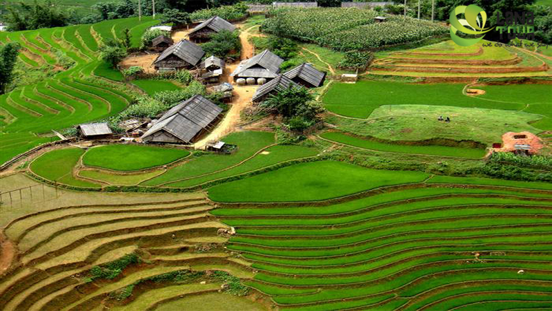 Sa Pa trekking in the special way